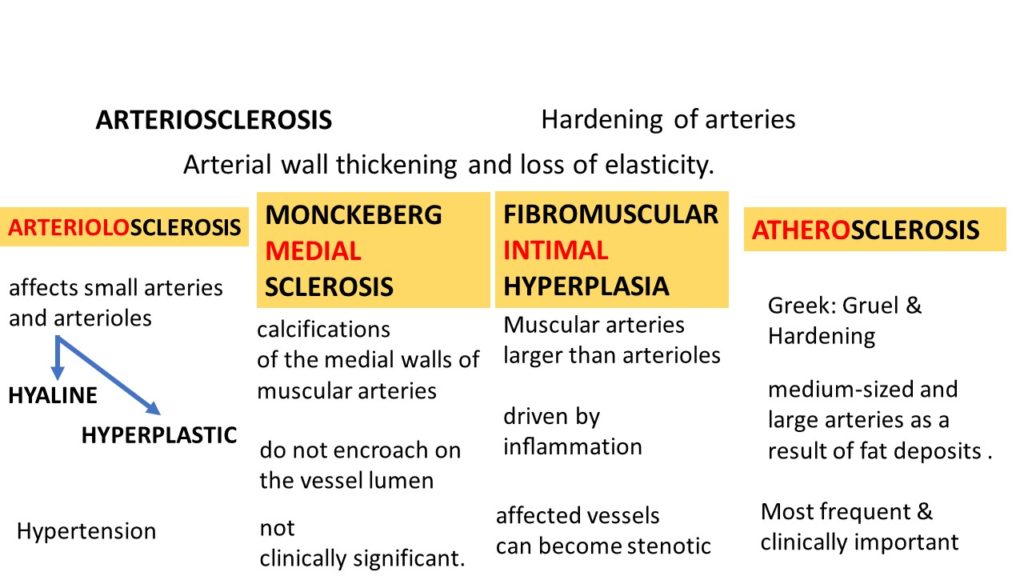 Pathology Of Atherosclerosis Pathology Made Simple