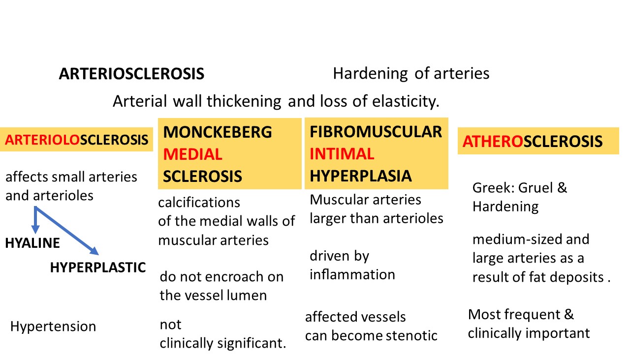 Pathology Of Atherosclerosis | Pathology Made Simple