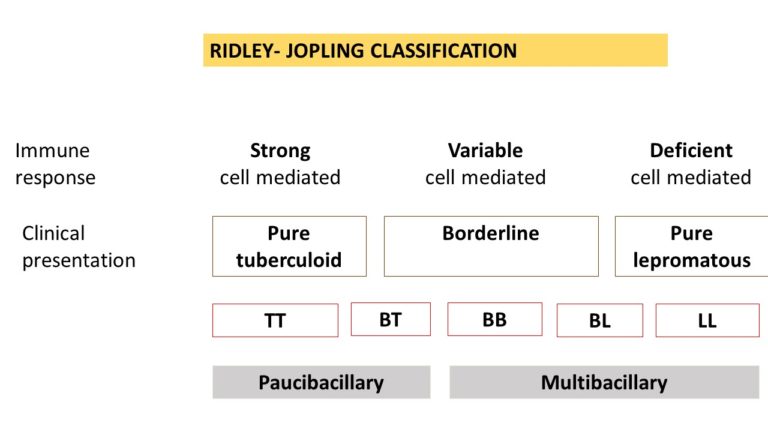 Leprosy Tuberculoid Lepromatous Pathology Made Simple