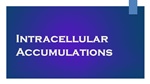 Intracellular Accumulations