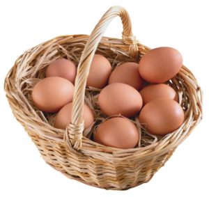 egg_png19