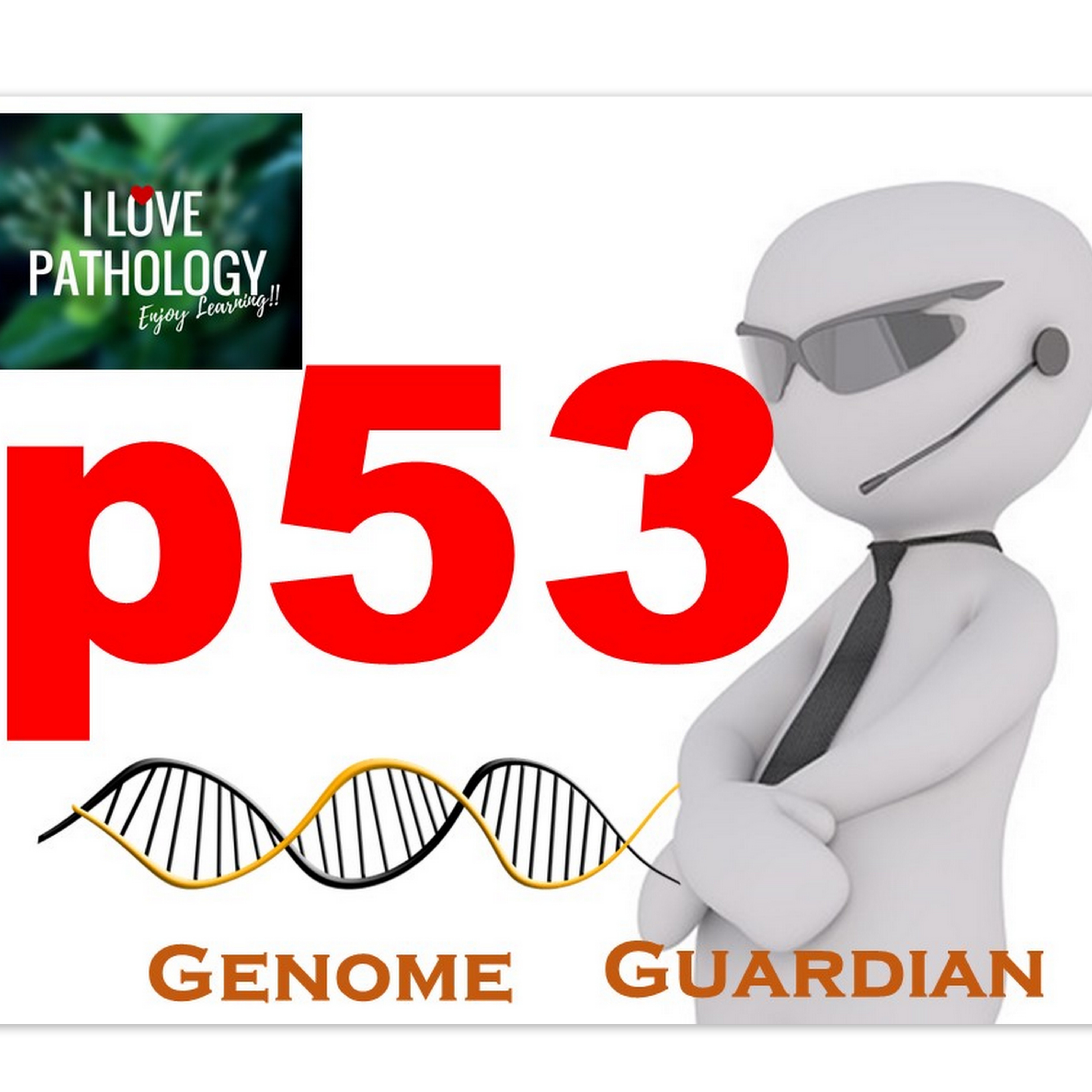 p53 Gene: The Guardian of the Genome