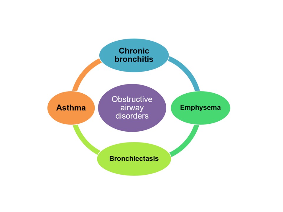 bronchitis causes