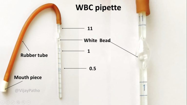 RBC & WBC Pipettes - Pathology Made Simple