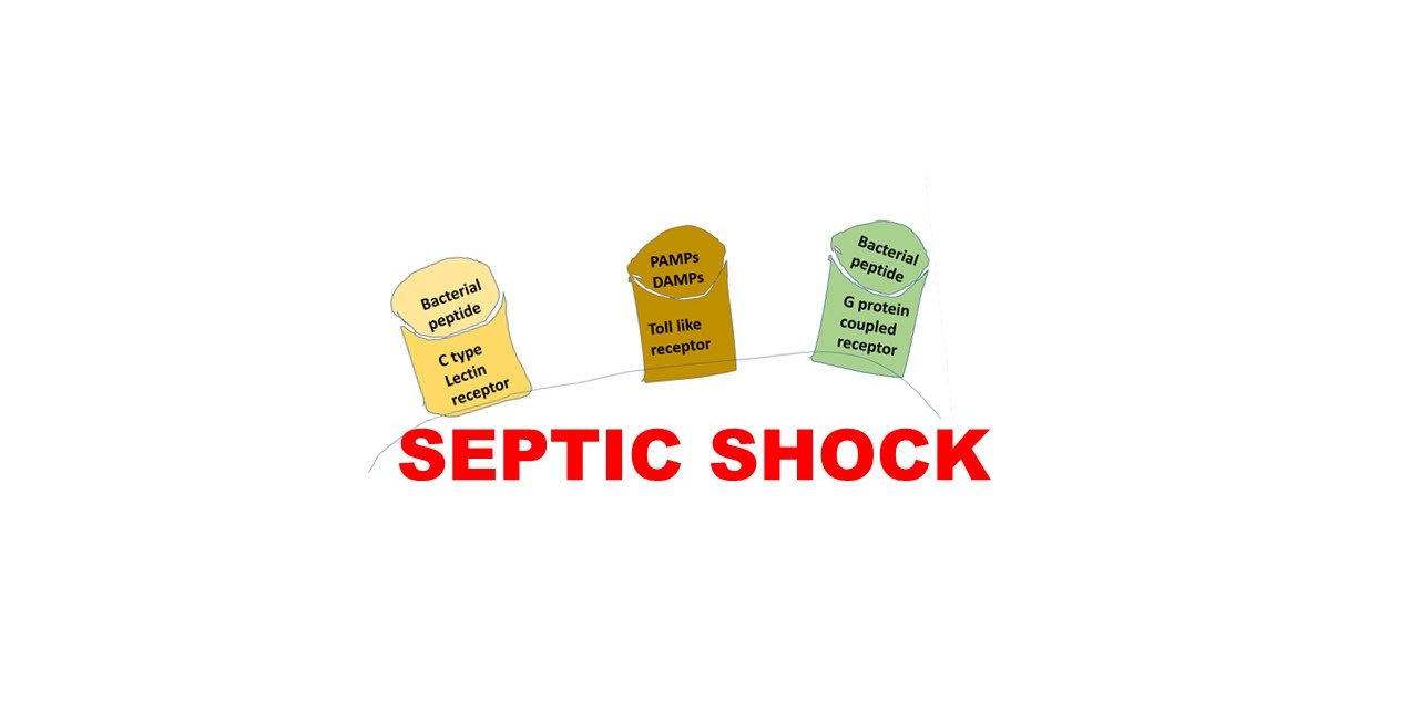 Pathology of Septic shock