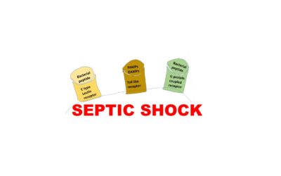Pathology of Septic shock