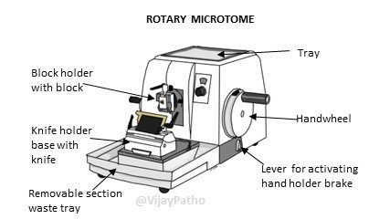 How Does A Microtome Work An Introduction To Specimen Processing DDQM How Does A Microtome Work An Introduction To Specimen Processing DDQM