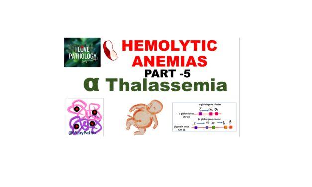 Pathology of Alpha Thalassemia