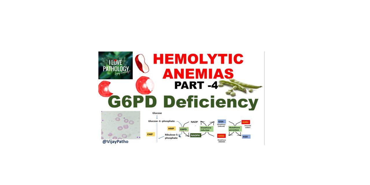 Pathology of G6PD deficiency