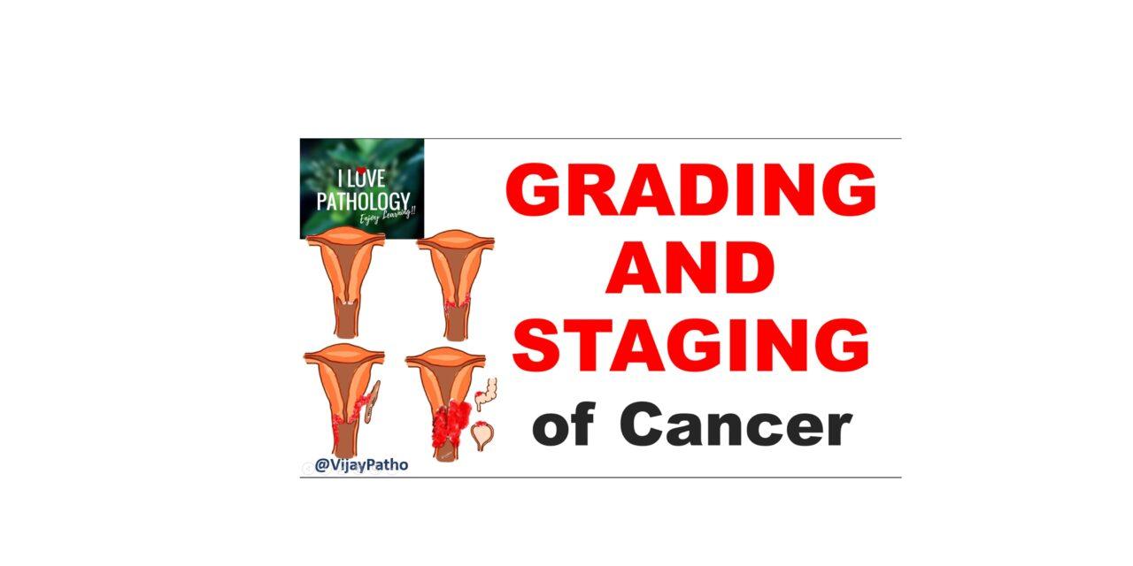 GRADING AND STAGING OF CANCER