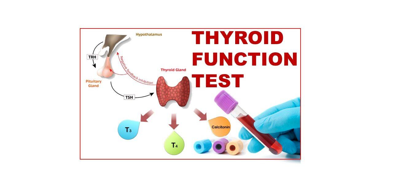 THYROID FUNCTION TESTS