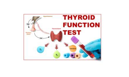 THYROID FUNCTION TESTS
