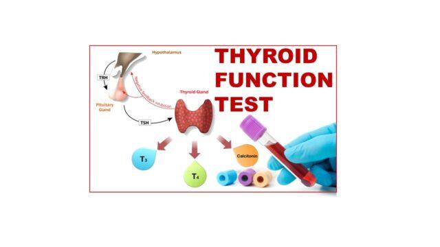 THYROID FUNCTION TESTS - Pathology Made Simple