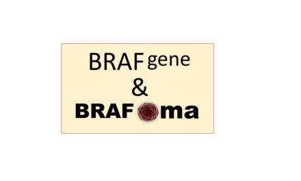 BRAF Gene and “BRAFoma’s”