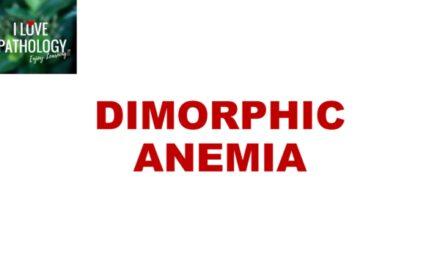 Dimorphic anemia