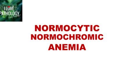 Normocytic Normochromic anemia