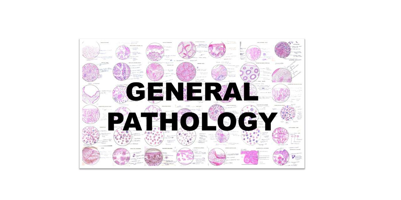 Pathology Practical Illustrations : GENERAL PATHOLOGY