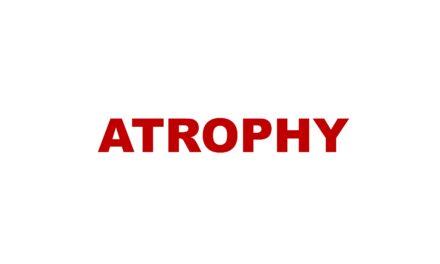 Atrophy:   Mechanism & Causes