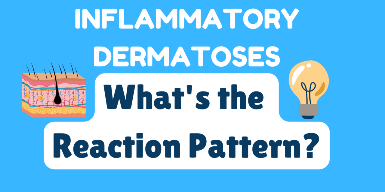 Inflammatory Dermatoses Reaction Patterns