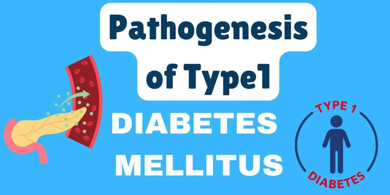 Pathogenesis of Type-1 Diabetes Mellitus