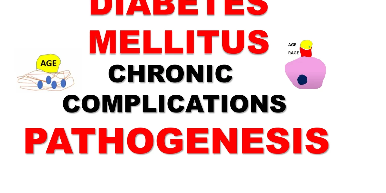 Diabetes Mellitus: Chronic Complications and Pathogenesis