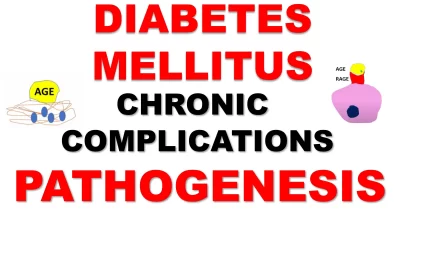 Diabetes Mellitus: Chronic Complications and Pathogenesis