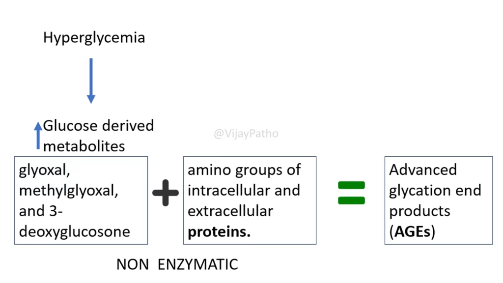 advanced glycation end product