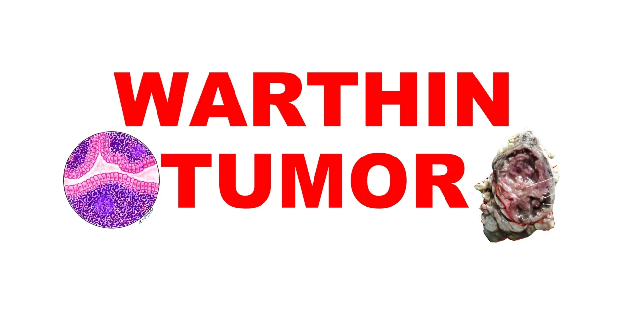 WARTHIN TUMOR