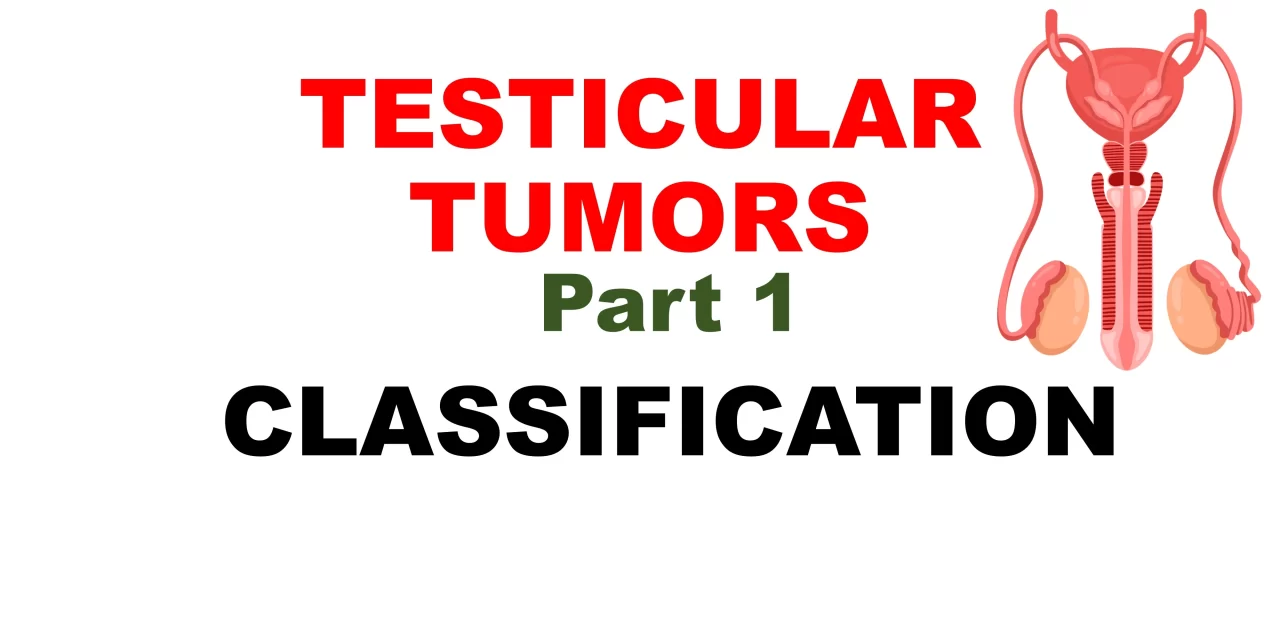 Classification of Testicular Tumors