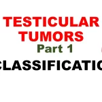 testicular tumors