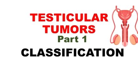 Classification of Testicular Tumors