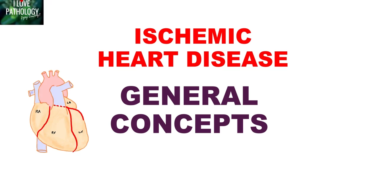 ISCHEMIC HEART DISEASE: General concepts