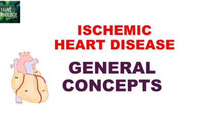 ISCHEMIC HEART DISEASE: General concepts