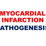Myocardial infarction - Pathogenesis