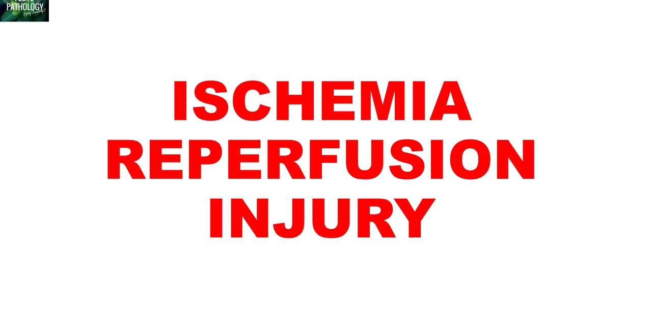 Ischemia-reperfusion injury