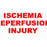 ISCHEMIA REPERFUSION INJURY