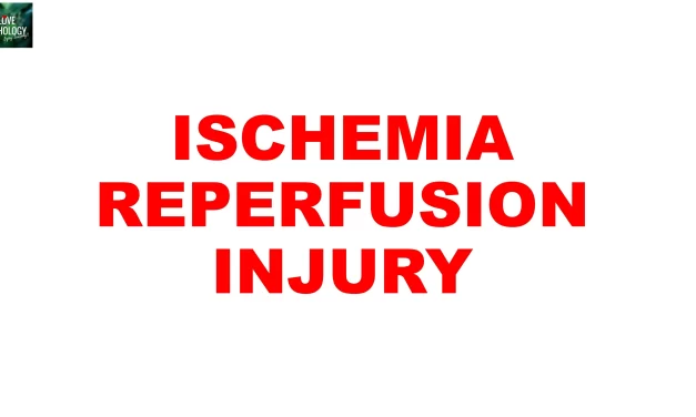 Ischemia-reperfusion injury