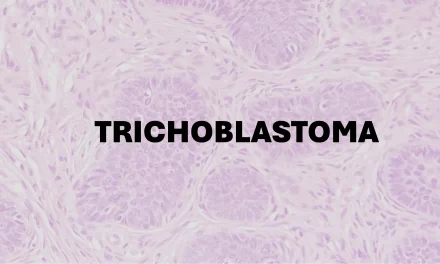 Pathology of Trichoblastoma