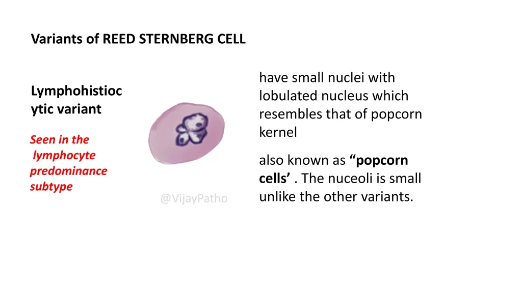 Reed Sternberg Cell