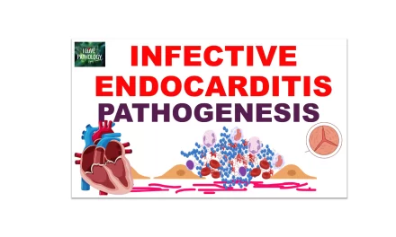 Infective Endocarditis Part 1: Risk Factors and Pathogenesis