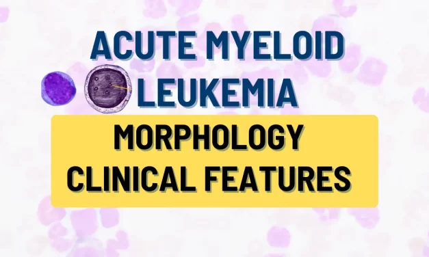 Acute Myeloid Leukemia: Key Morphology & Prognosis Facts You Must Know