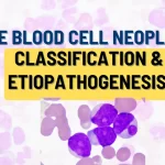 white blood cell neoplasms