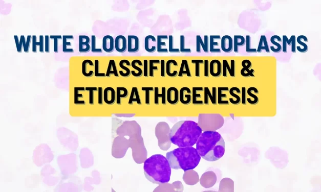 White Blood Cell Neoplasms: 7 Key Causes and Simple Classification