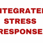 INTEGRATED STRESS RESPOMSE ( ISR)