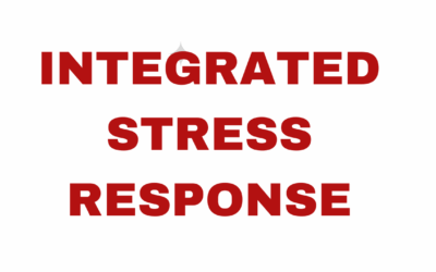 Integrated Stress Response (ISR)