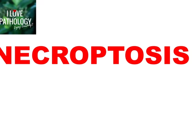 Necroptosis – Understanding a Programmed Necrosis Pathway